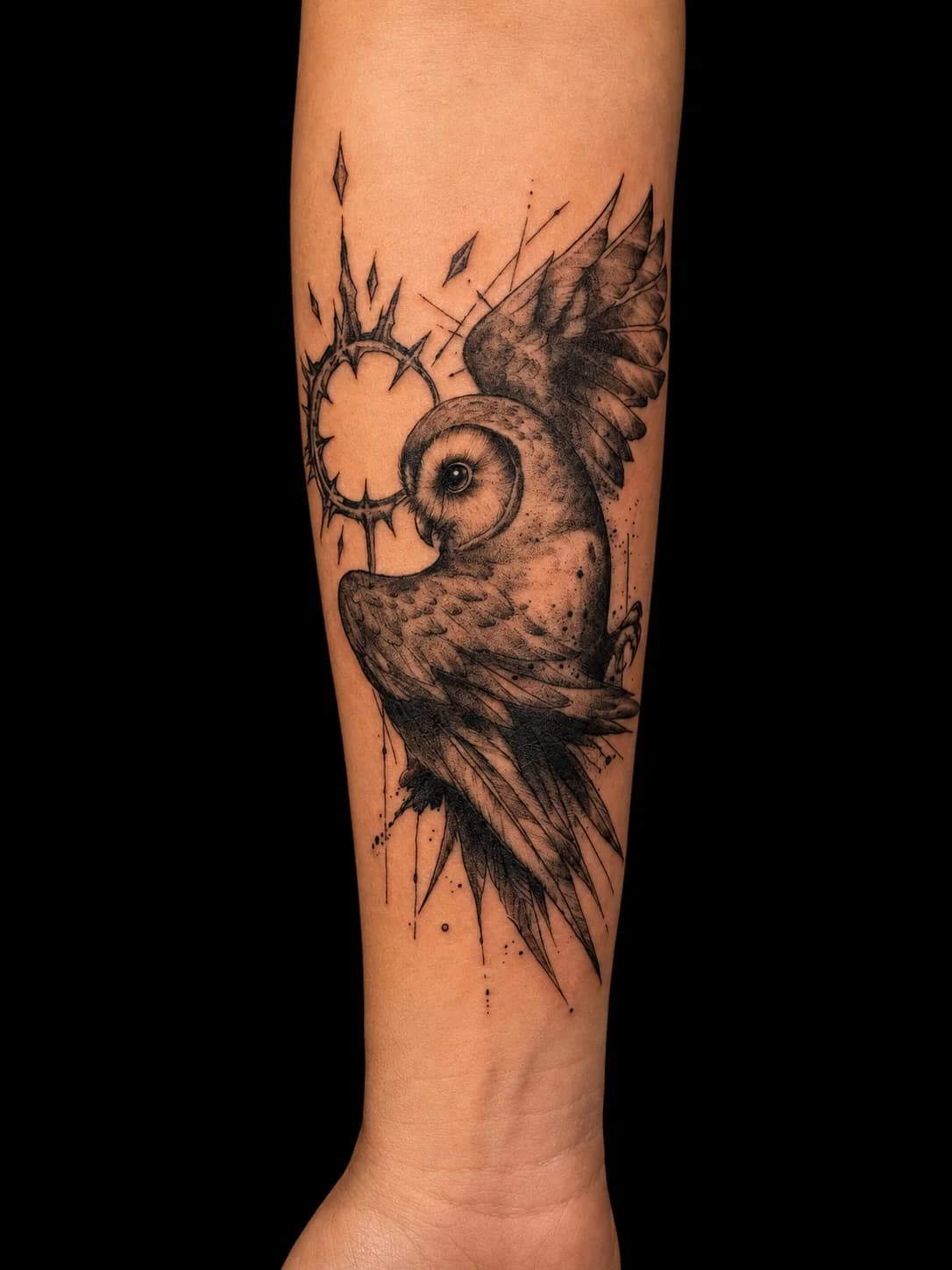 Lechuza — Antebrazo